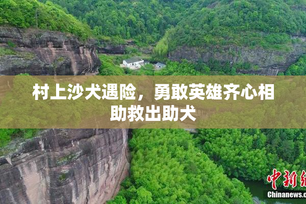 村上沙犬遇险，勇敢英雄齐心相助救出助犬