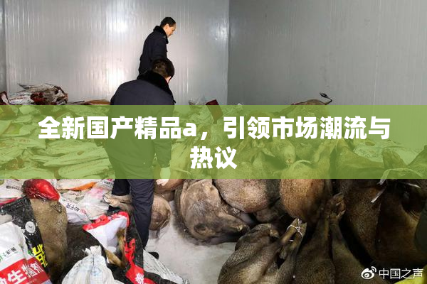 全新国产精品a，引领市场潮流与热议