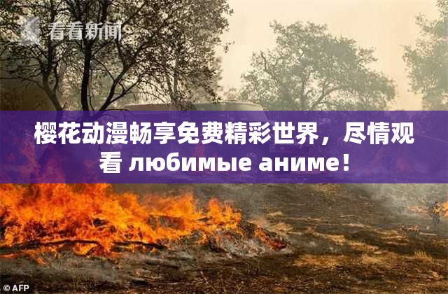 樱花动漫畅享免费精彩世界，尽情观看 любимые аниме！
