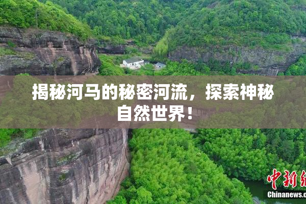 揭秘河马的秘密河流，探索神秘自然世界！