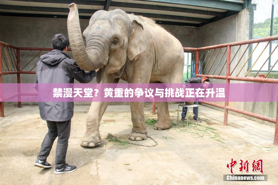 禁漫天堂？黄重的争议与挑战正在升温