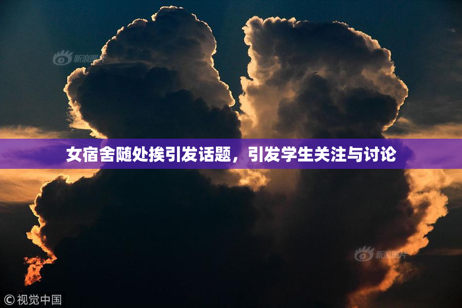 女宿舍随处挨引发话题，引发学生关注与讨论