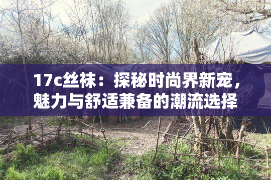 17c丝袜：探秘时尚界新宠，魅力与舒适兼备的潮流选择