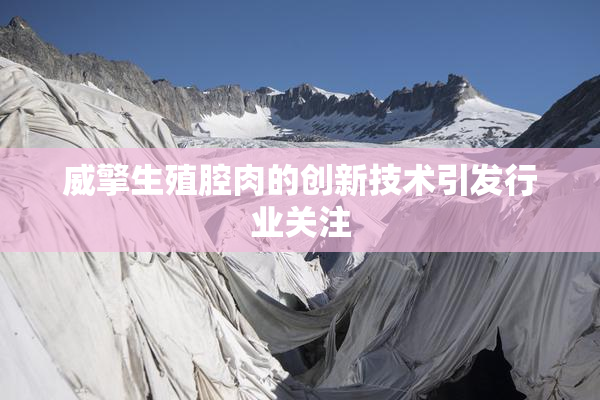 威擎生殖腔肉的创新技术引发行业关注