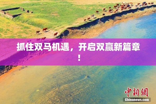 抓住双马机遇，开启双赢新篇章！