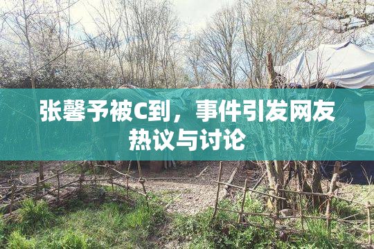 张馨予被C到，事件引发网友热议与讨论