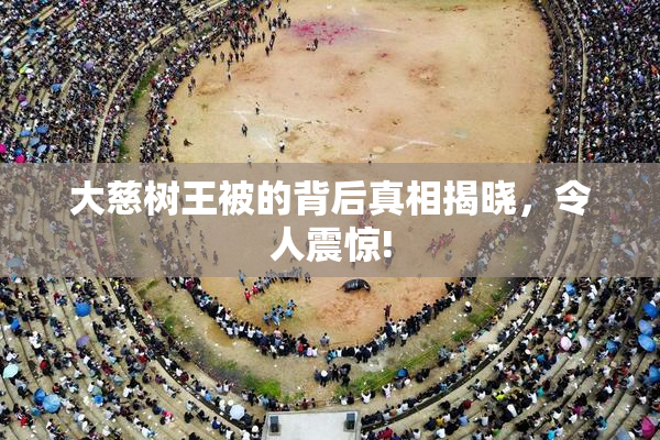 大慈树王被的背后真相揭晓，令人震惊!