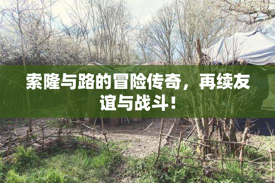 索隆与路的冒险传奇，再续友谊与战斗！