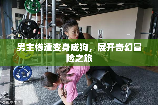 男主惨遭变身成狗，展开奇幻冒险之旅