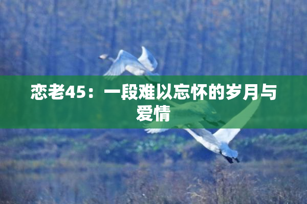 恋老45：一段难以忘怀的岁月与爱情