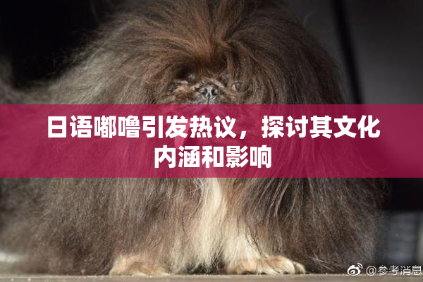 日语嘟噜引发热议，探讨其文化内涵和影响