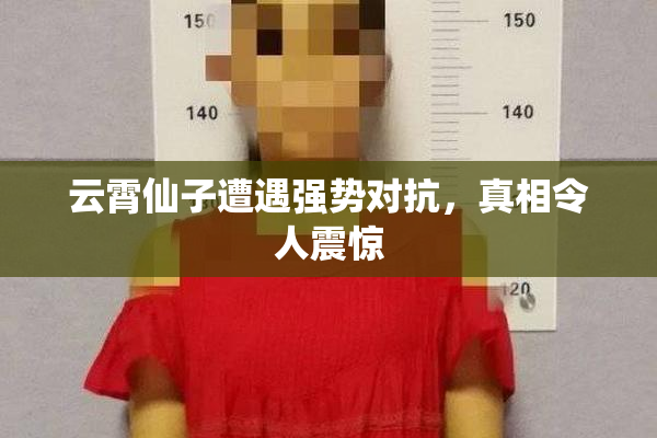 云霄仙子遭遇强势对抗，真相令人震惊