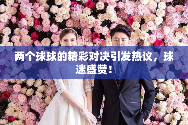 两个球球的精彩对决引发热议，球迷盛赞！