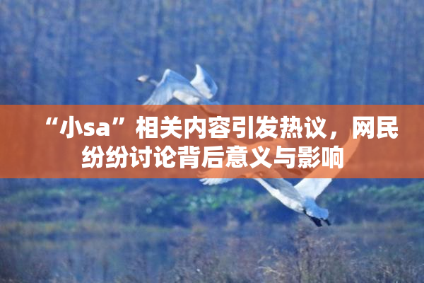 “小sa”相关内容引发热议，网民纷纷讨论背后意义与影响