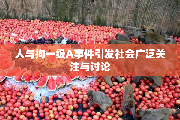 人与拘一级A事件引发社会广泛关注与讨论