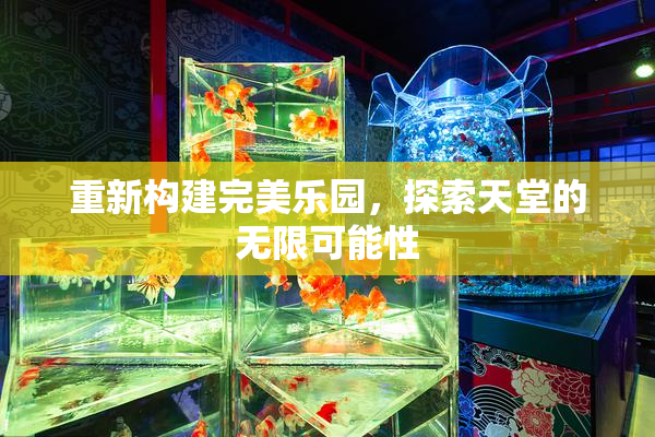 重新构建完美乐园，探索天堂的无限可能性