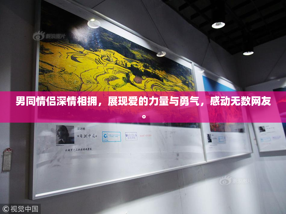 男同情侣深情相拥，展现爱的力量与勇气，感动无数网友。