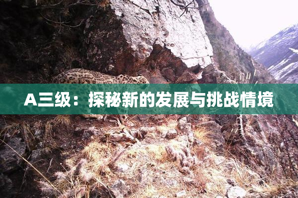 A三级：探秘新的发展与挑战情境