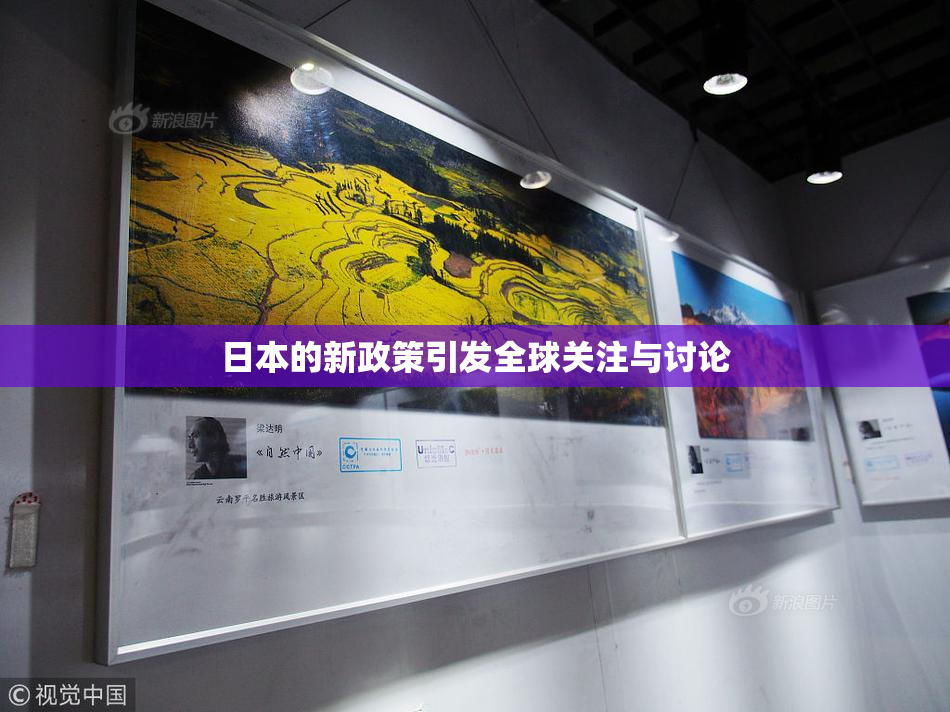 日本的新政策引发全球关注与讨论