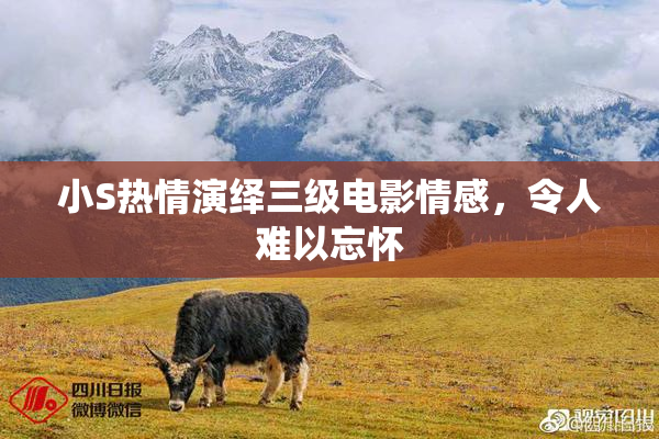 小S热情演绎三级电影情感，令人难以忘怀