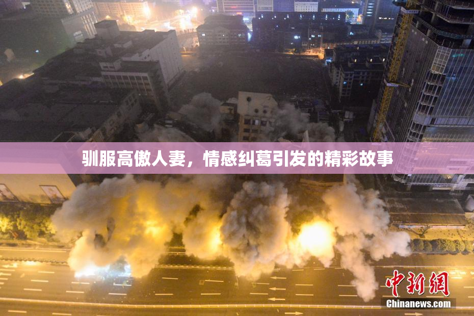 驯服高傲人妻，情感纠葛引发的精彩故事