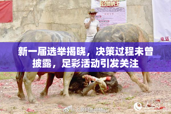 新一届选举揭晓，决策过程未曾披露，足彩活动引发关注
