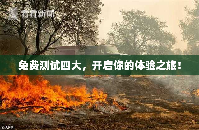 免费测试四大，开启你的体验之旅！
