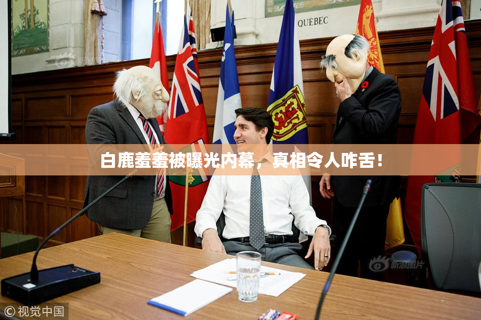 白鹿羞羞被曝光内幕，真相令人咋舌！