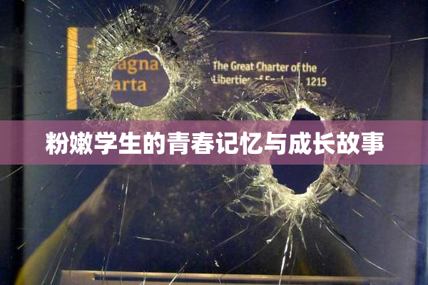 粉嫩学生的青春记忆与成长故事