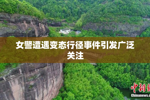 女警遭遇变态行径事件引发广泛关注