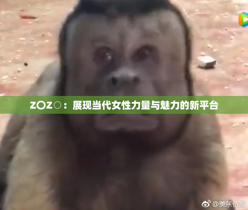 Z〇Z○：展现当代女性力量与魅力的新平台