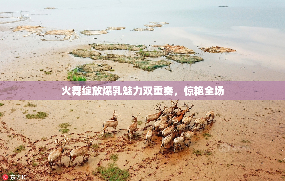 火舞绽放爆乳魅力双重奏，惊艳全场