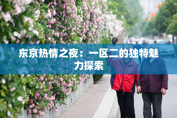 东京热情之夜：一区二的独特魅力探索