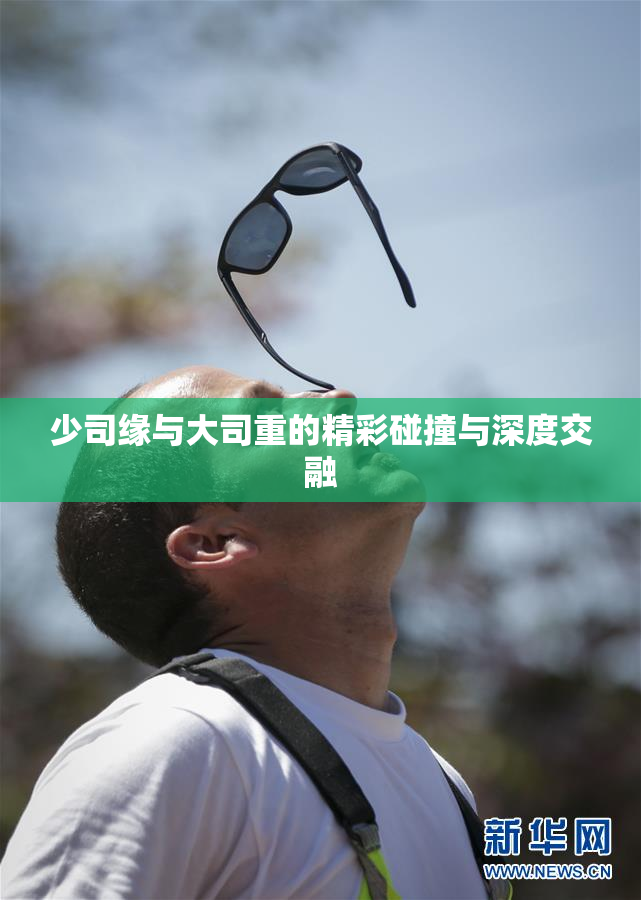 少司缘与大司重的精彩碰撞与深度交融