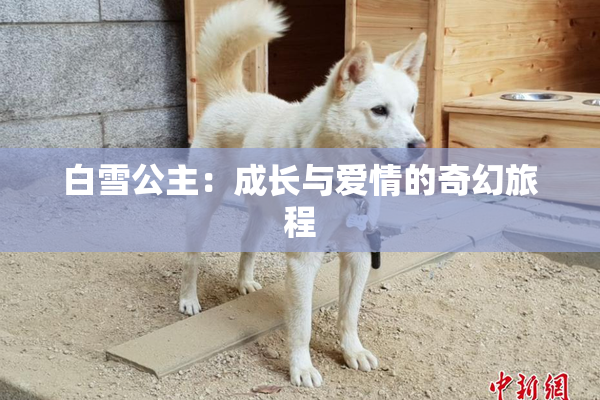 白雪公主：成长与爱情的奇幻旅程
