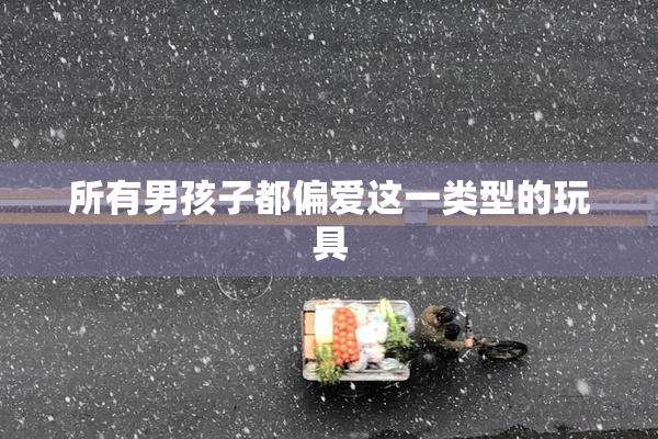 所有男孩子都偏爱这一类型的玩具