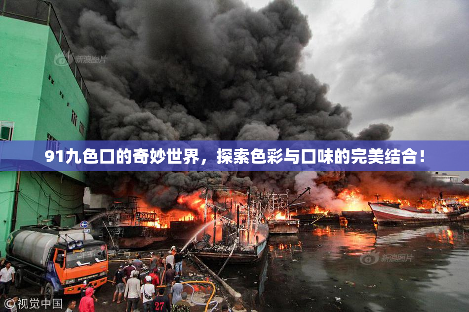 91九色口的奇妙世界，探索色彩与口味的完美结合！