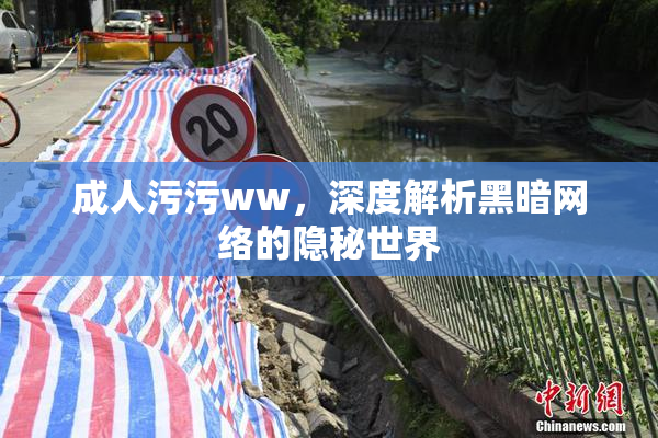 成人污污ww，深度解析黑暗网络的隐秘世界