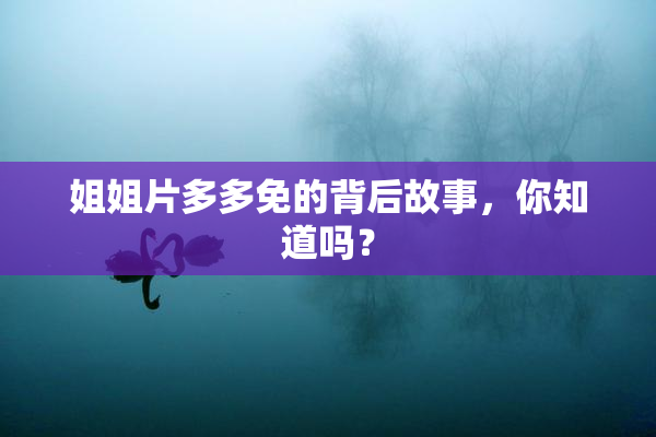 姐姐片多多免的背后故事，你知道吗？
