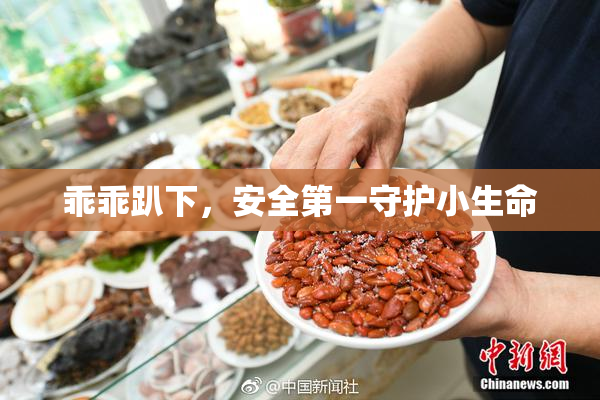 乖乖趴下，安全第一守护小生命