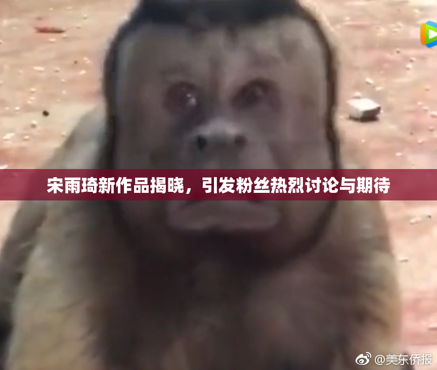 宋雨琦新作品揭晓，引发粉丝热烈讨论与期待
