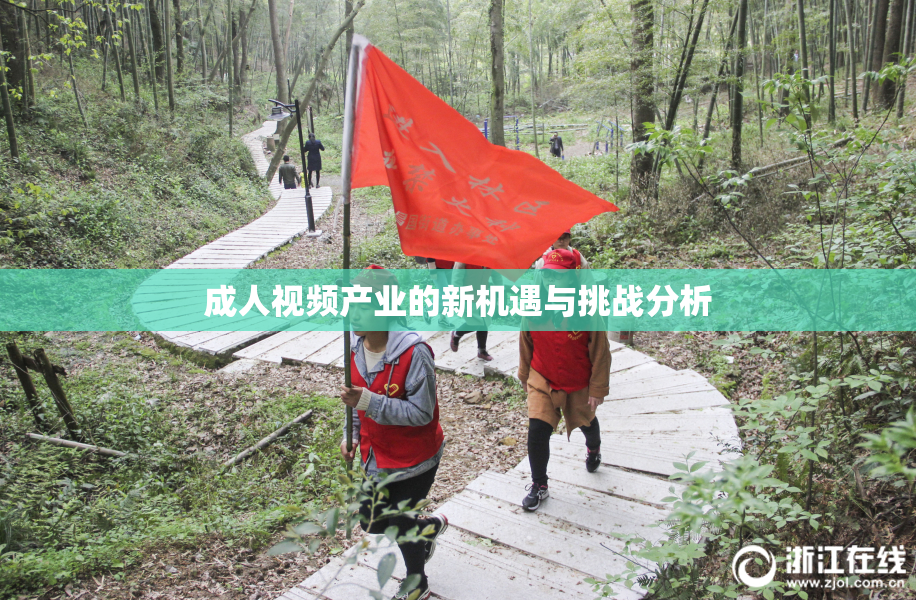 成人视频产业的新机遇与挑战分析