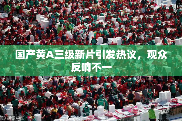 国产黄A三级新片引发热议，观众反响不一