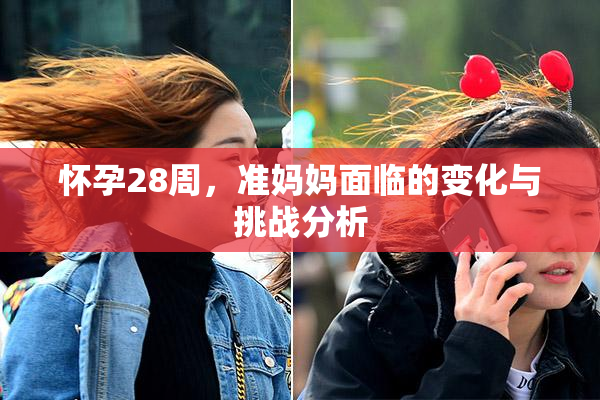 怀孕28周，准妈妈面临的变化与挑战分析