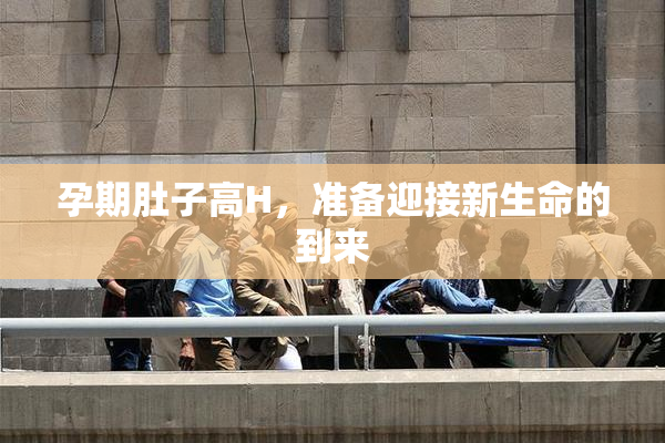 孕期肚子高H，准备迎接新生命的到来