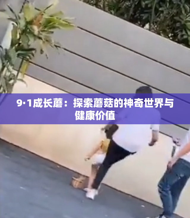 9·1成长蘑：探索蘑菇的神奇世界与健康价值