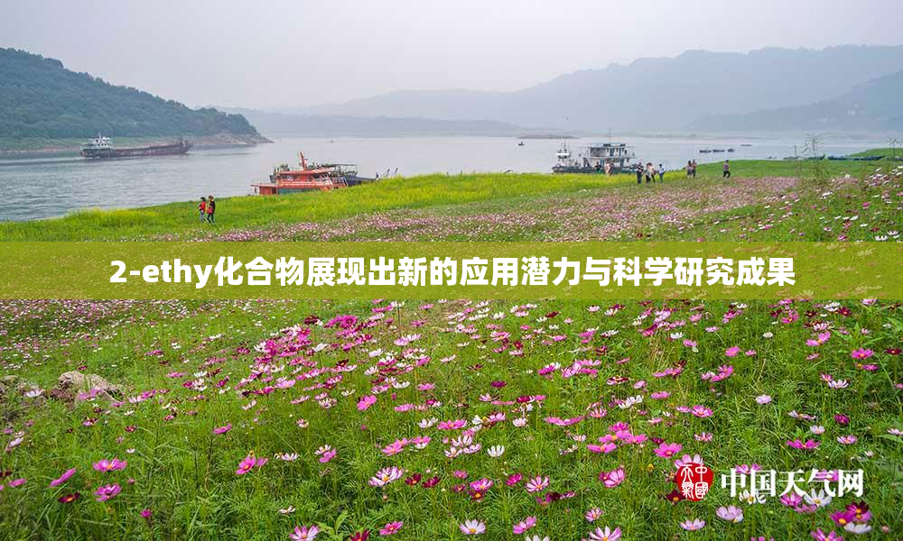 2-ethy化合物展现出新的应用潜力与科学研究成果
