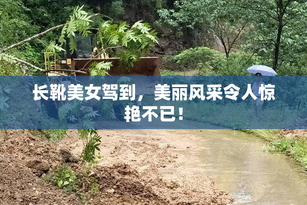 长靴美女驾到，美丽风采令人惊艳不已！