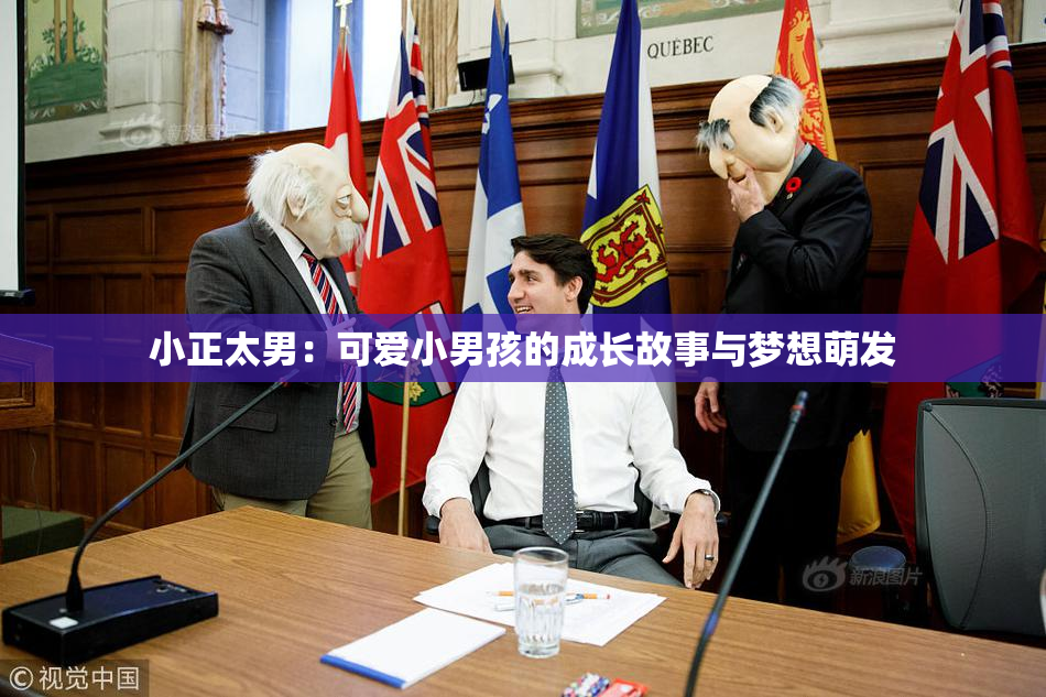 小正太男：可爱小男孩的成长故事与梦想萌发