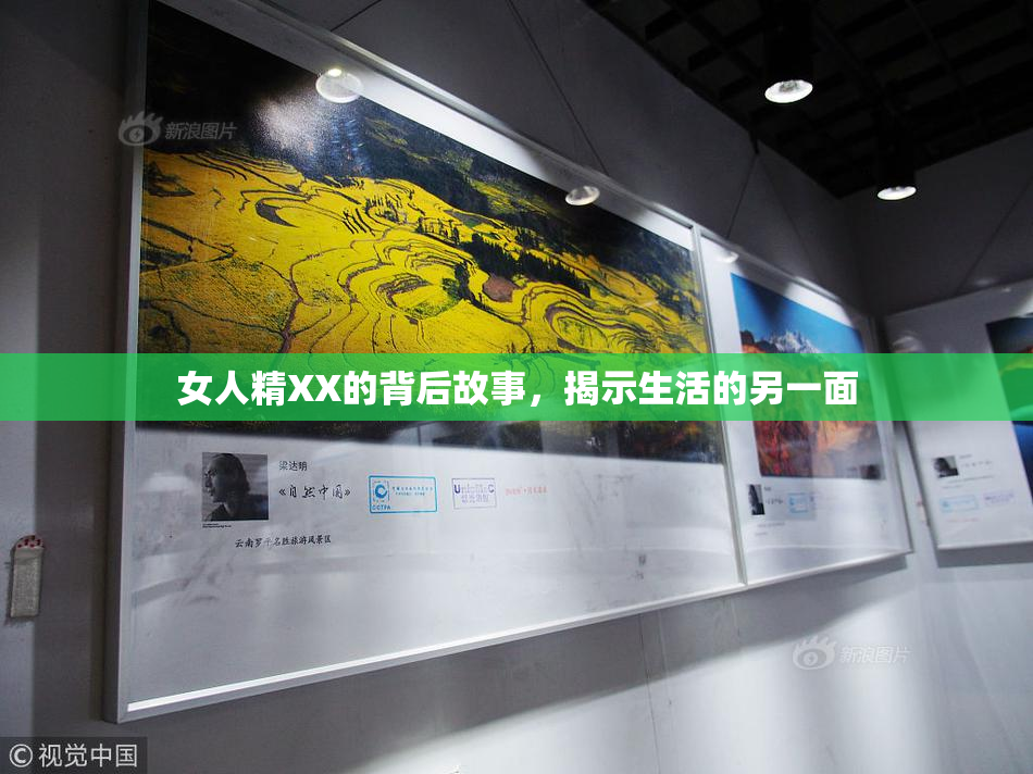 女人精XX的背后故事，揭示生活的另一面